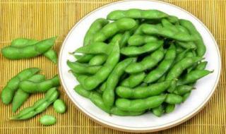 黄豆和毛豆是不是一种东西