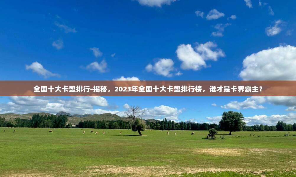 全国十大卡盟排行-揭秘，2023年全国十大卡盟排行榜，谁才是卡界霸主？