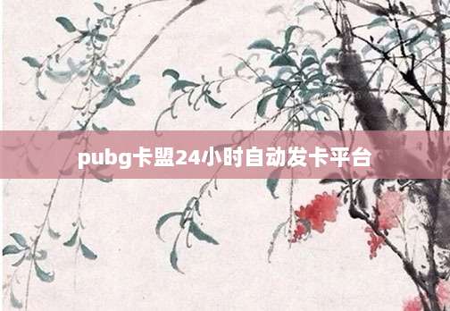 pubg卡盟24小时自动发卡平台