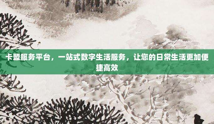 卡盟服务平台，一站式数字生活服务，让您的日常生活更加便捷高效