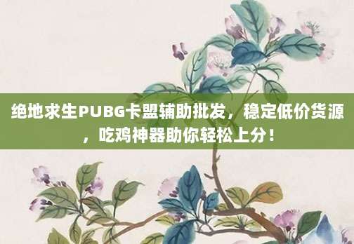 绝地求生PUBG卡盟辅助批发，稳定低价货源，吃鸡神器助你轻松上分！