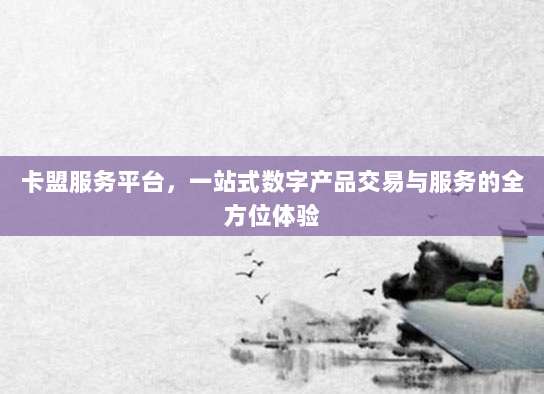 卡盟服务平台，一站式数字产品交易与服务的全方位体验