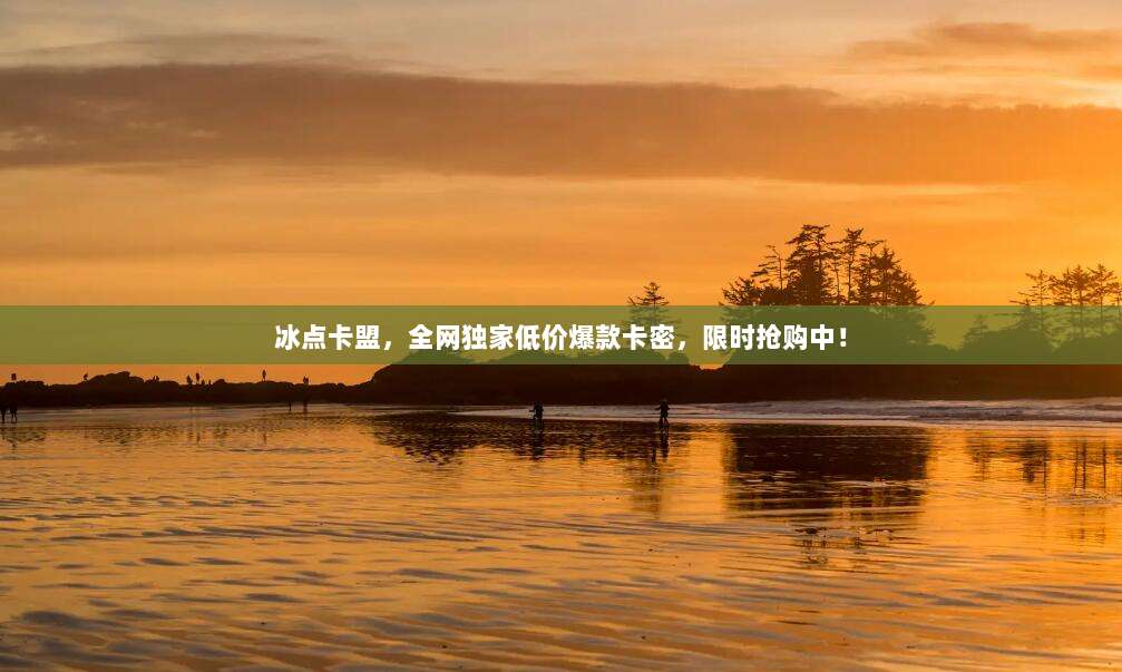 冰点卡盟,全网独家低价爆款卡密,限时抢购中!