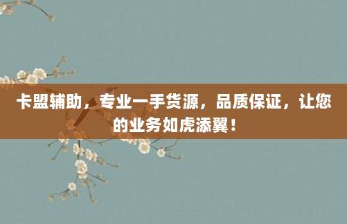 卡盟辅助，专业一手货源，品质保证，让您的业务如虎添翼！