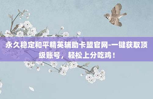 永久稳定和平精英辅助卡盟官网-一键获取顶级账号，轻松上分吃鸡！