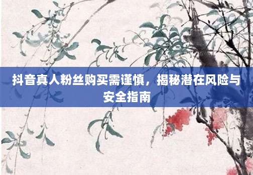 抖音真人粉丝购买需谨慎,揭秘潜在风险与安全指南