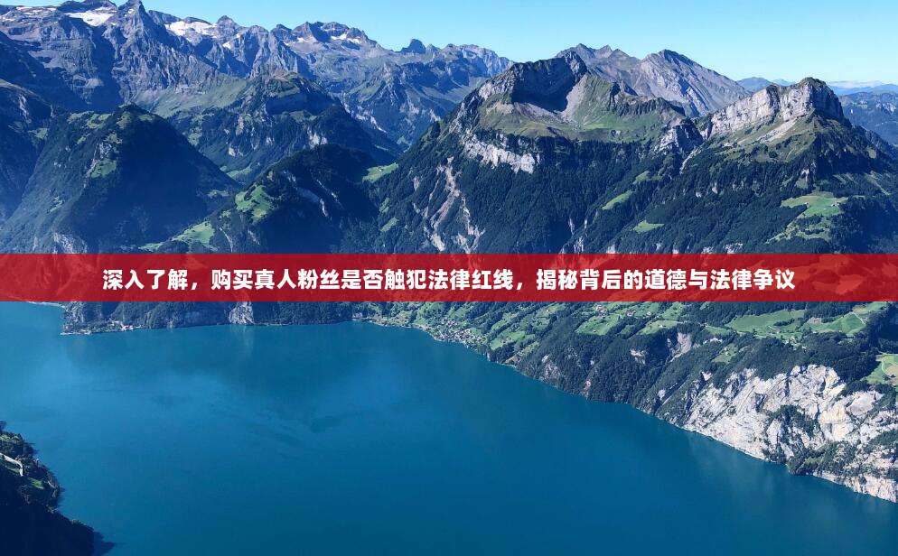 深入了解，购买真人粉丝是否触犯法律红线，揭秘背后的道德与法律争议
