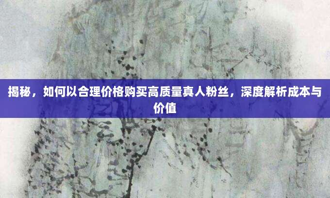 揭秘，如何以合理价格购买高质量真人粉丝，深度解析成本与价值