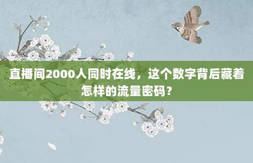 直播间2000人同时在线，这个数字背后藏着怎样的流量密码？
