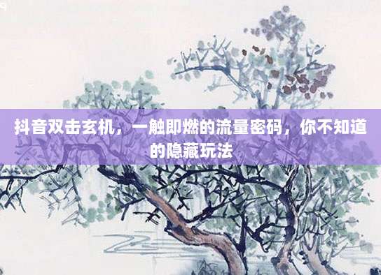抖音双击玄机，一触即燃的流量密码，你不知道的隐藏玩法