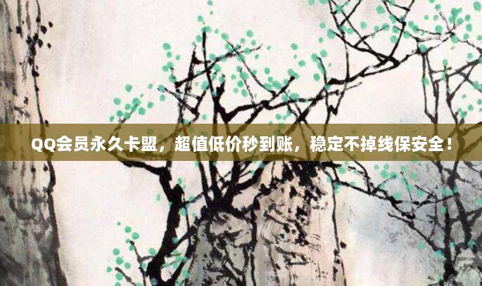 QQ会员永久卡盟,超值低价秒到账,稳定不掉线保安全!