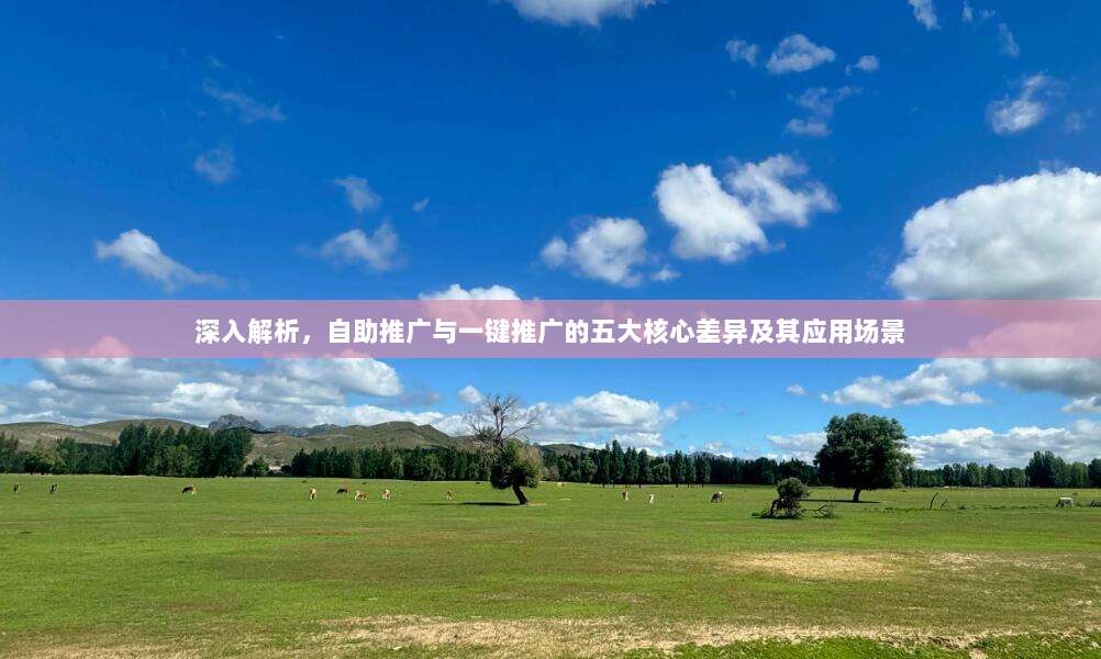 深入解析,自助推广与一键推广的五大核心差异及其应用场景