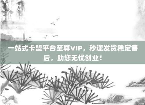 一站式卡盟平台至尊VIP，秒速发货稳定售后，助您无忧创业！