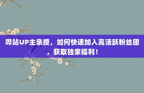 哔站UP主亲授，如何快速加入高活跃粉丝团，获取独家福利！