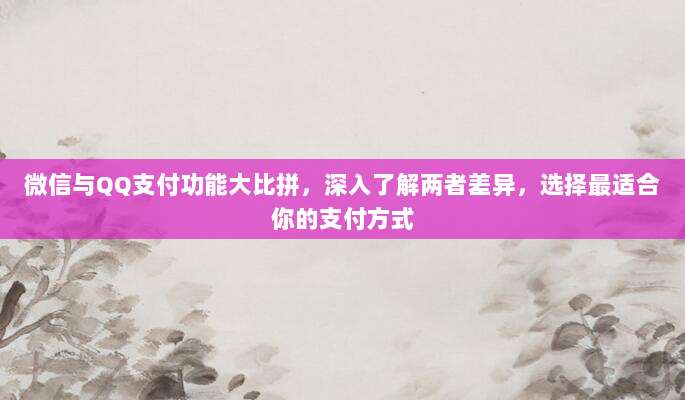 微信与QQ支付功能大比拼,深入了解两者差异,选择最适合你的支付方式