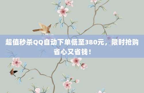 超值秒杀QQ自动下单低至380元，限时抢购省心又省钱！