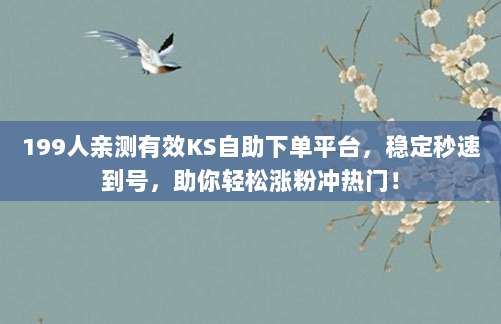 199人亲测有效KS自助下单平台，稳定秒速到号，助你轻松涨粉冲热门！