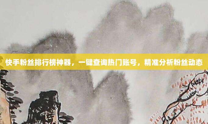 快手粉丝排行榜神器，一键查询热门账号，精准分析粉丝动态