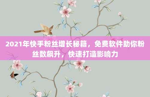 2021年快手粉丝增长秘籍，免费软件助你粉丝数飙升，快速打造影响力