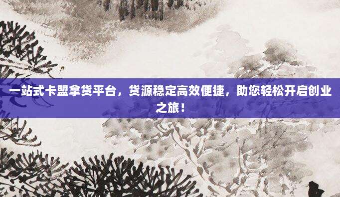 一站式卡盟拿货平台，货源稳定高效便捷，助您轻松开启创业之旅！