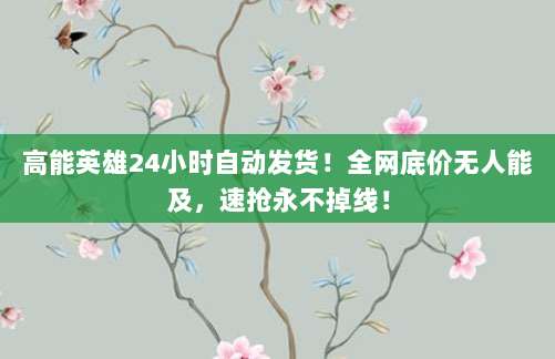 高能英雄24小时自动发货！全网底价无人能及，速抢永不掉线！