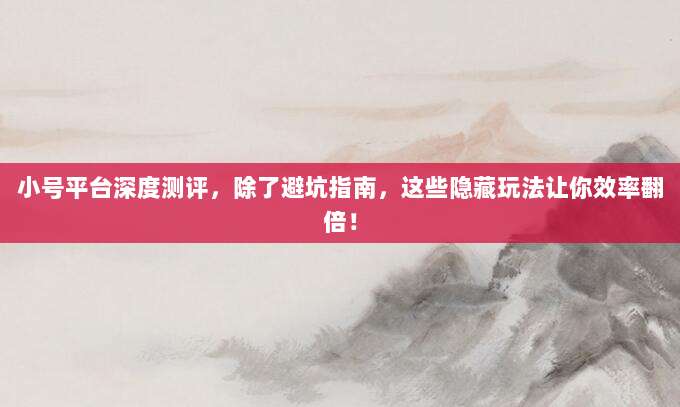 小号平台深度测评，除了避坑指南，这些隐藏玩法让你效率翻倍！