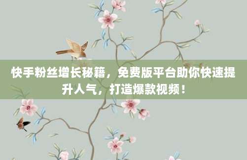 快手粉丝增长秘籍,免费版平台助你快速提升人气,打造爆款视频!