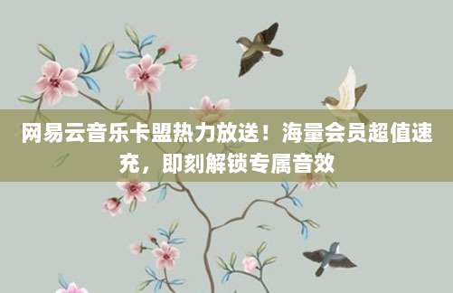 网易云音乐卡盟热力放送!海量会员超值速充,即刻解锁专属音效