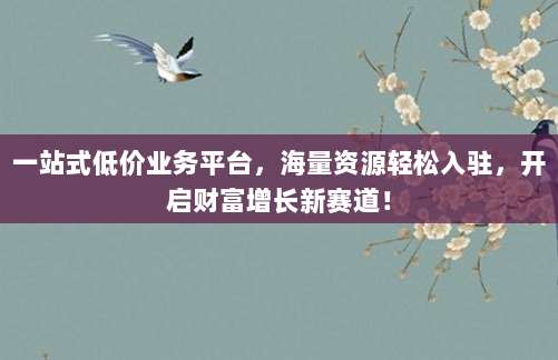 一站式低价业务平台，海量资源轻松入驻，开启财富增长新赛道！
