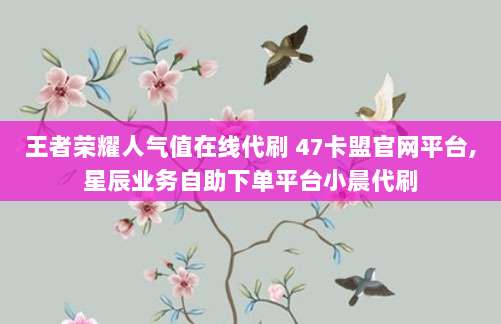 王者荣耀人气值在线代刷 47卡盟官网平台,星辰业务自助下单平台小晨代刷